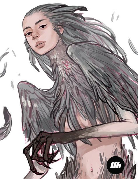 Harpy Owl, Bird People, Fantasy Races, Angel And Devil, Mythical Creatures Art, Art Prompts, Animated Drawings, Fantasy Inspiration, Art Studies