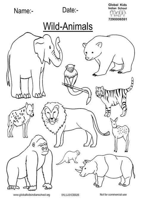 Big Five Animals Drawings, Wild Animal Worksheets Preschool, Wild Animals Coloring Pages For Kids, Wild Animals Worksheets For Kindergarten, Wild Animals Worksheets For Kids, Wild Animals Preschool Activities, Wild Animals Coloring Pages, Wild Animals Drawing, Coloring Pictures For Kids