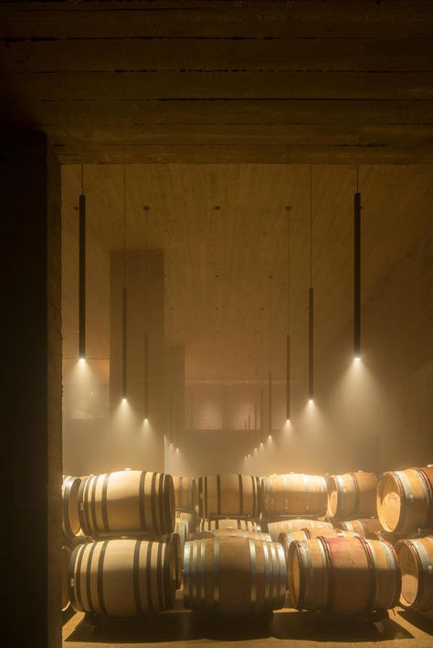 Wine Cave Design, Kundig Architecture, Olson Kundig, California Architecture, Wine Cave, Wine Photography, Function Room, Wine Room, Tasting Room