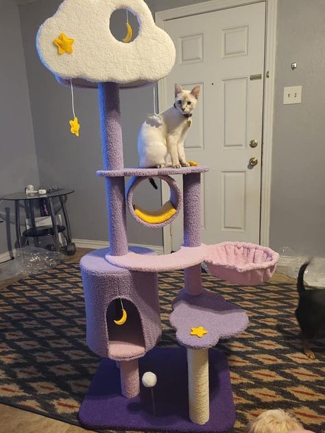 Cat Room Decor, Katt Grejer, Sailor Moon Cat, Cat Bedroom, Cat Tree House, Cat House Diy, Cat Towers, Cat Pfp, House Cat