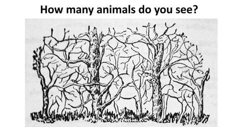 Here in this Picture Puzzle, there are many animals and animal faces are hidden. Can you find all these animals? Lets count how many animals can you count in this picture? Hidden Animals In Pictures, Mermaid Hair Waves, Illusion Paintings, Hidden Images, Did You Know Facts, Hidden Objects, Picture Puzzles, Logic Puzzles, Maths Puzzles