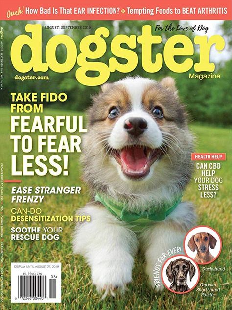 Dogster: Amazon.com: Magazines Western Horseman, Pet Magazine, Animal Magazines, Dog Pop, Dog Magazine, National Geographic Kids, National Geographic Magazine, Boredom Busters, Magazine Cover Design