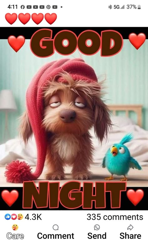 Funny Good Night Pictures, Verknipte Humor, Night Hug, Night Humor, Funny Good Night, Funny Good Night Images, Goodnight Images, Good Night Hug, Evening Blessings