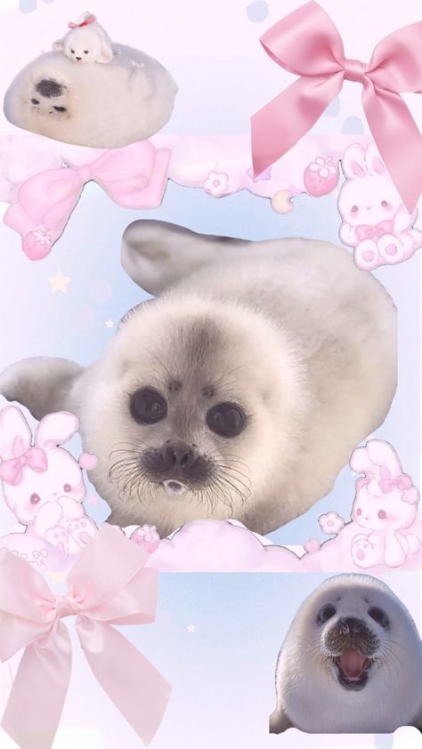 light pink filtered seals with bows and a pink border Seal Wallpaper, Cute Seals, Iphone Layout, Phone Themes, Pretty Wallpapers, Wallpaper Iphone, Art Wallpaper, Cute Wallpapers, Iphone Wallpaper