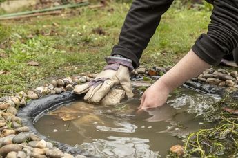 Small Garden Wildlife Pond, Toad Pond, Cement Pond, Small Pond Ideas, Wildlife Ponds, Ponds Ideas, Pond Diy, Scottish Wildlife, Ponds For Small Gardens