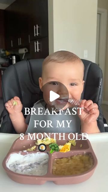 🌻✨Mummy & Kids Love ✨🌻 on Instagram: "Making Breakfast for baby 8 months old 🍳🥦🧀 ( 📸: Creatively Emi ) #babyledweaningrecipes #babyledweaningideas #baby #babyfoodideas #babyfood #babyrecipes #fyp #foryoupage #babymeals #babyfoodprep #babyledeating #weaningideas #babyhealthyfood #reels #babyboy #babygirl #followers #highlights #homemadebabyfood #babyhealthyfood #fingerfood #babyplate #babyblogger #babyfoodrecipes #homemade #babyfoodidea #lunchtime #blw #blwideas #toddlermeals" Breakfast 8 Month Old, Babymoov Duo Meal Station Recipes, Meal Ideas For 13 Month Old, Breakfast For Babies 8 Months, 9 Months Food Ideas, What To Feed 8 Month Old Baby, Blw 8 Month Old, 9 Month Dinner Ideas, 6 Month Old Breakfast