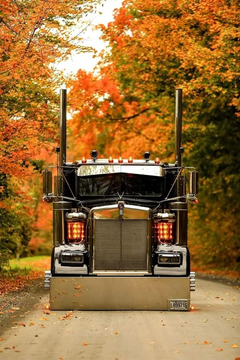 Semi Trucks Humor, Custom Peterbilt, Diesel Pickup Trucks, Peterbilt Truck, Trucks For Sell, Big Ford Trucks, Trucks Lifted Diesel, Tractor Trailer Truck, Kenworth W900