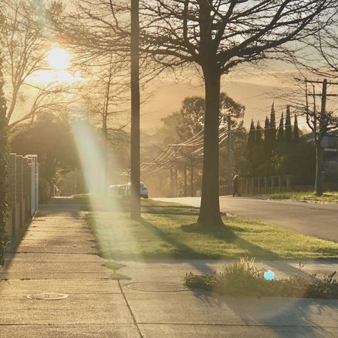 Nature, Traffic Lights Aesthetic, Sunny Day Photography, Aesthetic Birds, Perspective Landscape, Sunrise City, Lights Aesthetic, Warm Aesthetic, Traffic Lights