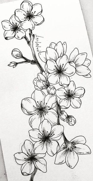 Tattoo Thigh, Flower Line Drawings, Flower Art Drawing, White Drawing, Flower Sketches, Floral Drawing, Black And White Drawing, Flower Art Painting, Tattoo Design Drawings