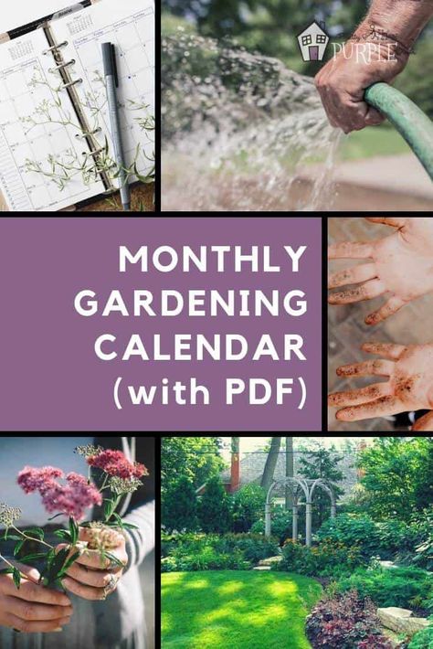 Create a Custom Gardening Calendar (a Step by Step Guide) | Pretty Purple Door Gardening Calendar, Garden Activities, Garden Calendar, Organic Vegetable Garden, Garden Services, Garden Maintenance, Wildflower Garden, Garden Guide, Organic Gardening Tips