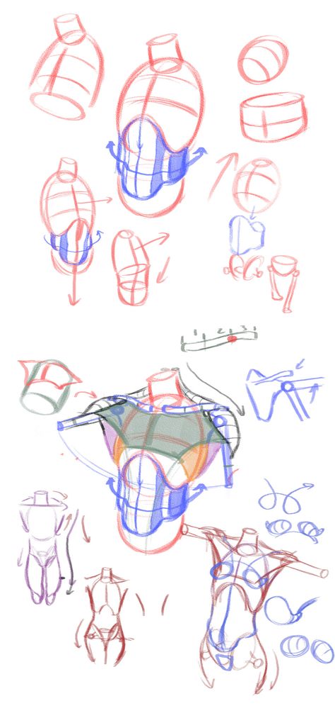 radfordsechrist: You can sign up for Construction... - Art References Rad Sechrist, Male Figure Drawing, Some Drawings, Human Anatomy Drawing, Human Figure Drawing, Human Anatomy Art, Anatomy Sketches, Body Reference Drawing, Anatomy For Artists