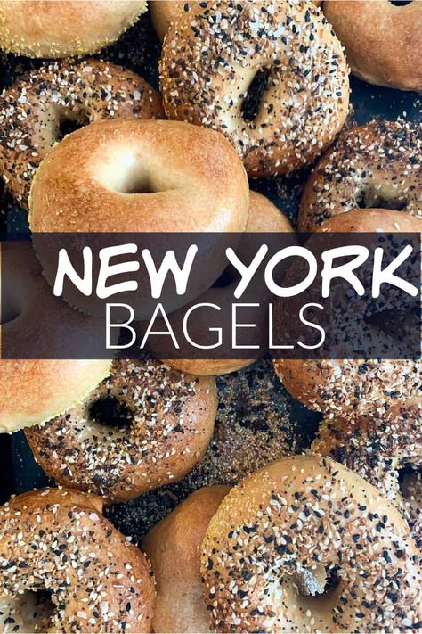 Einstein Bagels, Ny Deli, New York Bagels, Ny Bagel, Bagel Recipe Easy, New York Bagel, Best Bagels, Bagel Sandwich, Homemade Bagels