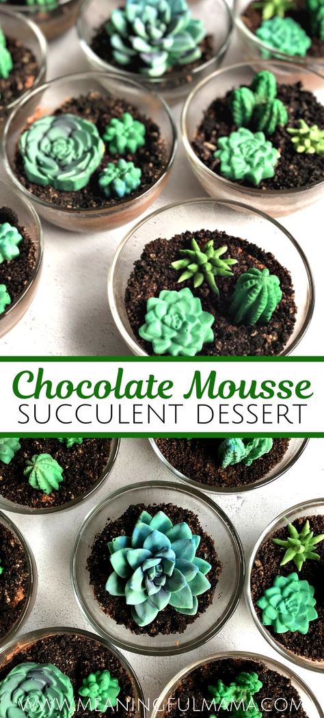 Succa For Love Party, Succulent Theme Birthday Party, Terrarium Birthday Party, Dessert That Looks Like Plants, Succulent Dessert Table, Succulents Graduation Party, Plant Theme Desserts, Garden Themed Desserts, Garden Party Dessert Ideas