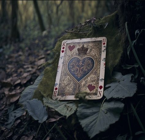 Once upon a broken heart Ellie Aesthetic, Cards Painting, Books 2024, Writing Icon, Deck Cards, Escape The Night, Fairytale Aesthetic, Ball Aesthetic, Disney Aesthetic