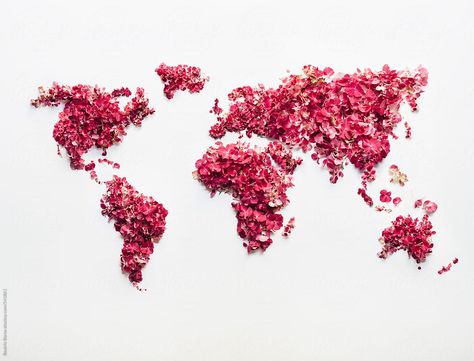 Clearly visible continents on a handmade pink world map  by Beatrix Boros for Stocksy United Tumblr Pattern, Overnight Beauty Hacks, Tumblr Backgrounds, Disney Instagram, Most Beautiful Images, Happy Earth, We Are The World, Landscape Illustration, Retro Designs