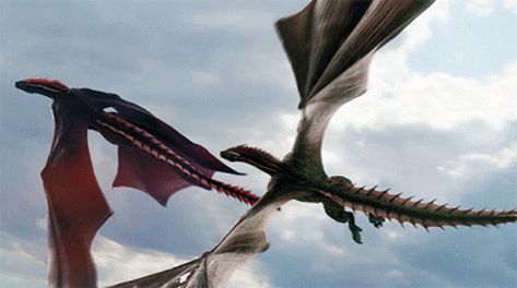 Dragon Daenerys GIF - Dragon Daenerys Targaryen - Discover & Share GIFs Drogon Game Of Thrones, Creature Fantasy, Game Of Thrones Dragons, Got Dragons, Fire And Blood, Game Of Thrones Funny, Gra O Tron, Game Of Thrones Art, Dragon Games