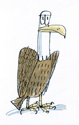 Eagle Illustration Design, Eagle Cartoon Drawing, Eagle Character Design, Eagle Animation, Eagle Doodle, Bald Eagle Illustration, Bald Eagle Drawing, Bird Comic, Cartoon Eagle