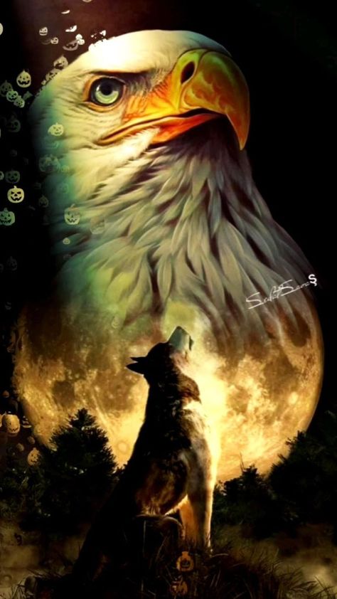 Wallpaper Eagle, Eagle Artwork, Wild Animal Wallpaper, Native American Wolf, Eagle Images, Eagle Wallpaper, Native American Paintings, Animal Spirit Guides, Eagle Pictures