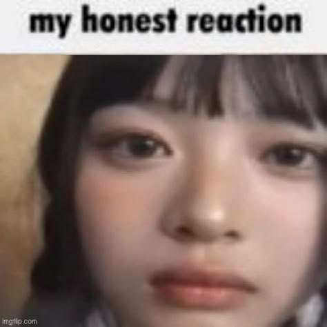 Newjeans Kpop, My Honest Reaction, Kei Visual, Honest Reaction, Hanni Pham, New Jeans Style, Jokes Pics, Kpop Meme, Cute Memes