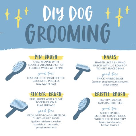 Dog Grooming Checklist, Dog Brushing Tips, Dog Grooming Routine, Dog Grooming Tools Professional, Dog Care Tips Pet Grooming, Dog Grooming Services, Dog Grooming Brushes, Dog Grooming Essentials, Dog Brushes