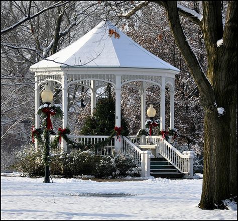 Christmas in the gazebo Christmas Gazebo, Mall Decoration, Botanical Christmas, Rustic Outdoor Decor, Tree Pictures, Winter Landscapes, Garden Gazebo, Southern Homes, Christmas Outdoor