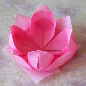 I just discovered this quick and easy to make flower paper napkin fold and will be using it a lot this summer! Best of all the design h... Napkin Folding Flower, Paper Napkin Folding Ideas, Napkin Origami, Diy Napkin Folding, Napkin Folding Ideas, Paper Origami Flowers, Origami Lotus Flower, Paper Napkin Folding, Creative Napkins