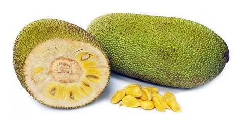 Jackfruit is nutritionally dense, drought-resistant and survives pests, making it a viable replacement for wheat, corn and other staple crops around the world. Jackfruit Benefits, Jackfruit Seeds, Jackfruit Tree, Weird Fruit, Strange Fruit, Fruit Seeds, Organic Fruit, Trees To Plant, Health Benefits