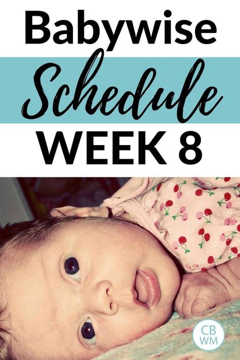 McKenna Newborn Summary: Week Eight Babywise Schedule Newborns, Infant Schedule, Newborn Routine, Bathing Tips, Baby First Week, Babywise Schedule, Baby Wise, Newborn Sleep Schedule, Newborn Bath