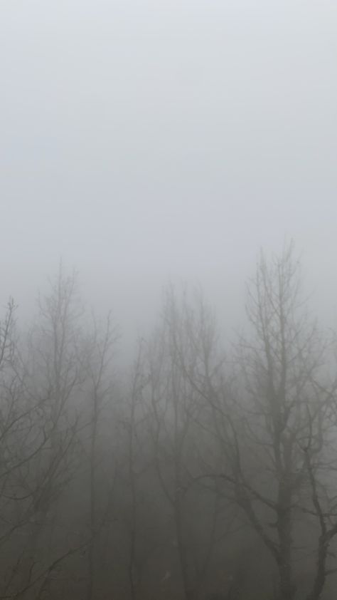 Fog Asethic, Winter Fog Aesthetic, Gray Wallpaper Aesthetic, Wallpaper Aesthetic Winter, Winter Forest Wallpaper, Relaxing Thoughts, Fog Aesthetic, Fog Wallpaper, Rainy Aesthetic