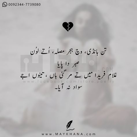 Sufi Poetry Feelings, Saraiki Poetry, Baba Bulleh Shah Poetry, Punjabi Poems, Urdu Words With Meaning, Nice Poetry, Inspirational Quotes In Urdu, Iqbal Poetry, Punjabi Poetry