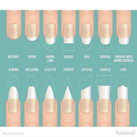 Gel Nails Shape, Nail Shape Chart, Types Of Nails Shapes, Different Types Of Nails, Acrylic Nail Shapes, Different Nail Shapes, Acrylic Nail Set, Nail Techniques, Christmas Nails Acrylic