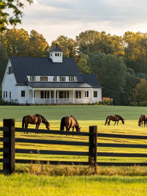 White House Big Porch, Small Ranch Aesthetic, Ranch House With Horses, Country Homestead Aesthetic, Horses On A Farm, Vision Board Farm Life, Horses On Farm, Land Ideas Acres, Country Farm Aesthetic