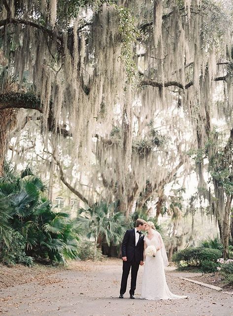 Spanish Moss Wedding, Spanish Moss Trees, Moss Tree, Moss Wedding, Bridal Cake, Hilton Head Wedding, Romantic Garden Wedding, Isle Of Palms, Charleston Wedding Photographer