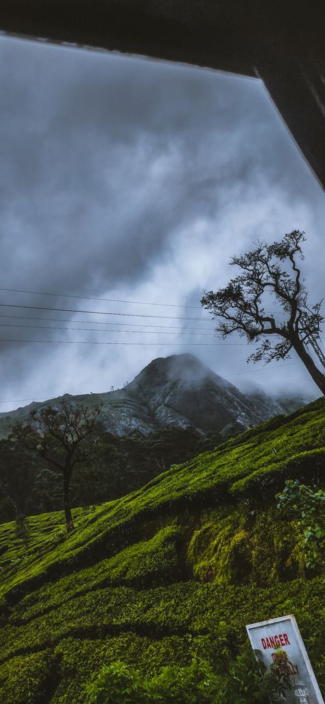 Munnar Photography Travel, Munnar Aesthetic, Munnar Photography, Summer Nature Photography, Loki Wallpaper, Mountain Pictures, Funny Cat Wallpaper, Flower Graphic Design, Full Size Photo