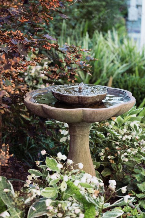 Garden Fountain Ideas, Craftsman Landscaping, Fountain Decor, Bird Fountain, Bird Bath Garden, Areas Verdes, Garden Decor Ideas, Bird Baths, Garden Fountain