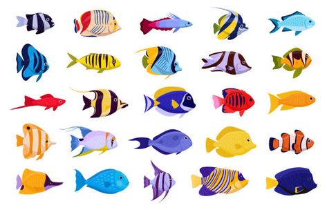 Neon Tetra, Fish Icon, Butterfly Fish, Salt Water Fish, Fish Vector, Fish Stock, Marine Fish, Cute Fish, Exotic Fish