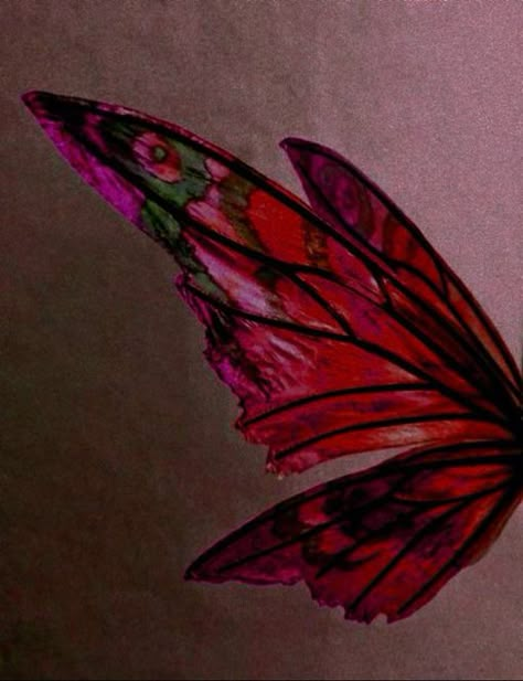 Red Wings Aesthetic, Musa Aesthetic, Fairy Wings Aesthetic, Pixie Wings, Fire Fairy, Black Fairy, Catty Noir, Fairycore Aesthetic, Rainbow Magic