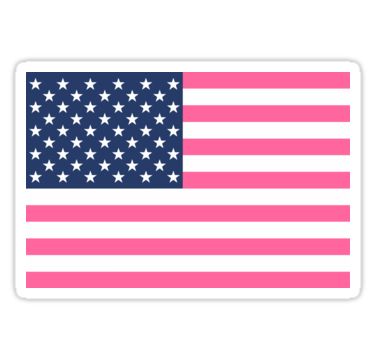 "Preppy Pink American Flag" Stickers by theroyalsass | Redbubble Pink American Flag, American Flag Sticker, Preppy Pink, Flag Sticker, Macbook Decal, Concept Board, Gospel Of Jesus Christ, Roman Catholic Church, Water Bottle Stickers