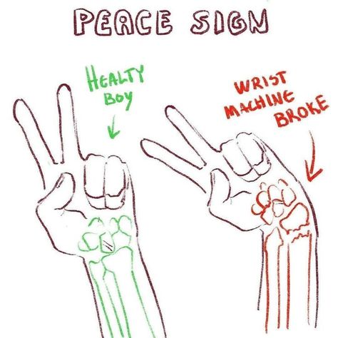 Peace Sign Pose, Hand Drawing Reference, Hand Reference, Sketches Tutorial, Guided Drawing, Anime Drawings Tutorials, Anatomy Art, Art Tutorials Drawing, Drawing Base