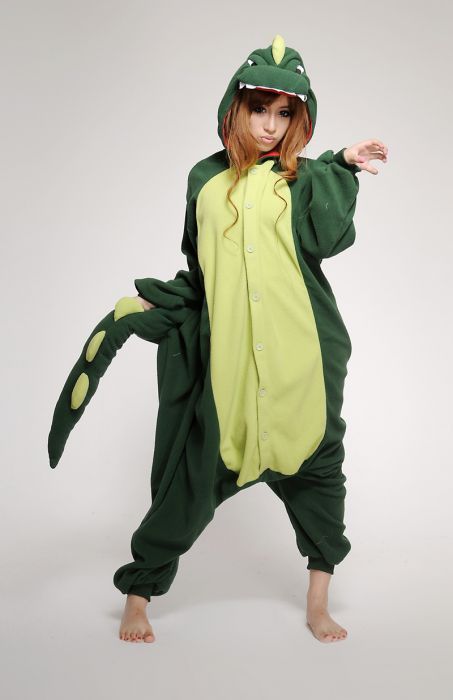 dino Animal Pajamas Onesies, Dinosaur Onesie, Adult Onesies, Onesies Pajamas, Animal Onesies, Pajamas Aesthetic, Party Dinosaur, Japanese Animals, Dinosaur Pajamas