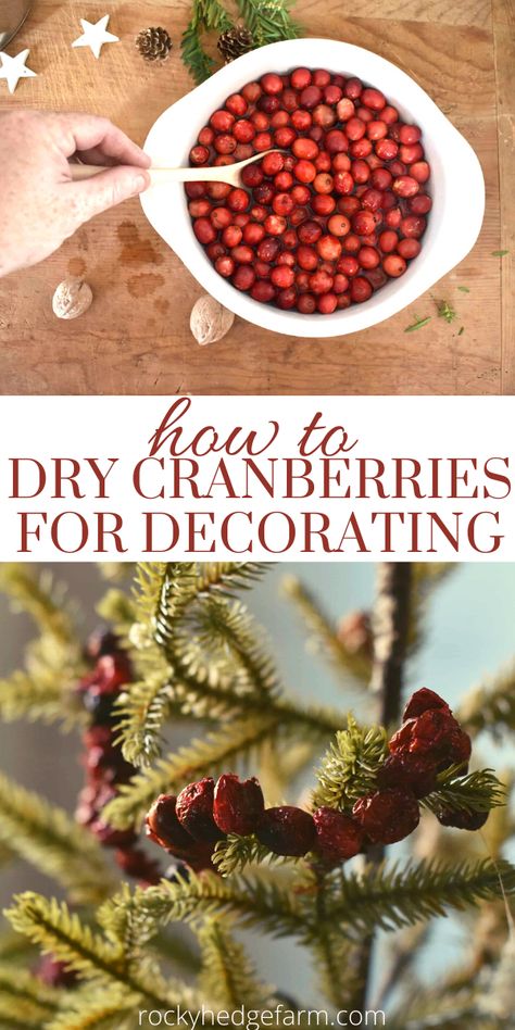 Decorating With Cranberries Christmas, Dried Fruit For Potpourri, Orange Cranberry Christmas Decor, Dried Cranberries For Potpourri, How To Dry Fruit For Decorations, Dehydrated Christmas Gifts, How To Dry Fruit For Potpourri, Dehydrated Fruit Christmas Decorations, Diy Red Berries Christmas Decor