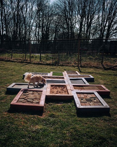 Dog Enrichment Yard, Diy Dog Play Area, Sensory Garden For Dogs, Dog Sensory Garden, Dog Pen Ideas Outdoor, Dog Training Area, Dog Backyard Playground, Outdoor Dog Area, Dog Boarding Ideas