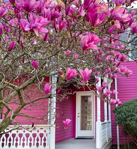 Cottages & Bungalows Magazine on Instagram: “We’re tickled pink to be heading into the weekend! 💗 This darling cottage, located in the Historic District of Lewes, Delaware, was shared…” Lewes Delaware, Cottages And Bungalows, Historic District, Tickled Pink, Delaware, Old Hollywood, Color Me, Raspberry, Lilac