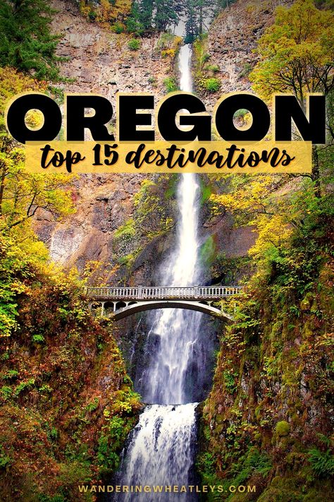 Oregon Bucket List Places To Visit, Oregon Places To Visit, Best Places To Visit In Oregon, What To Do In Oregon, Best Things To Do In Oregon, Oregon Travel Itinerary, Oregon Attractions, Oregon Bucket List, Dundee Oregon