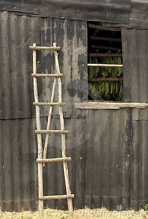 Ladders In The Garden, Tin Siding, Wood Objects, Twig Crafts, 3d Wall Sculpture, Apple Orchards, Vintage Ladder, Rustic Ladder, Wood Ladder