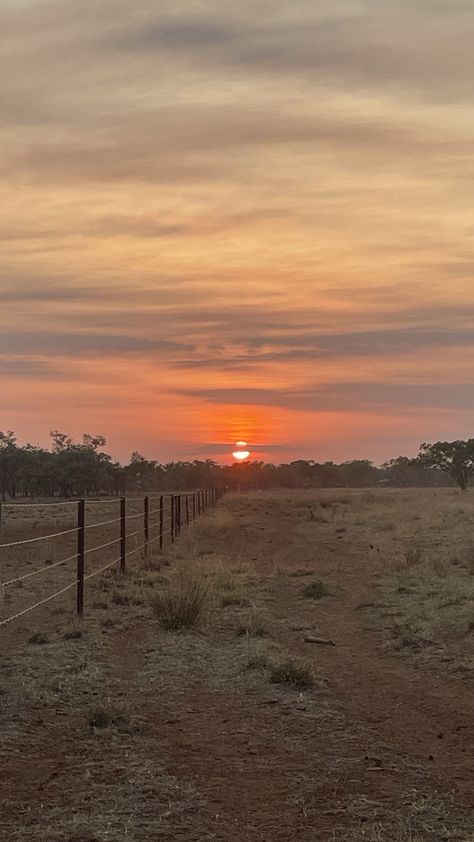 Australian Countryside, Cattle Station, Farm Sunset, Country Images, Western Sunset, Southern Aesthetic, Country Sunset, Country Backgrounds, Country Photography