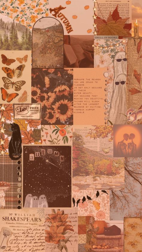 Autumn Aesthetic Vintage, Vintage Nature Wallpaper, Books Autumn, November Books, Wallpaper Books, November Wallpaper, Fall October, Vintage Nature, Autumn Aesthetic