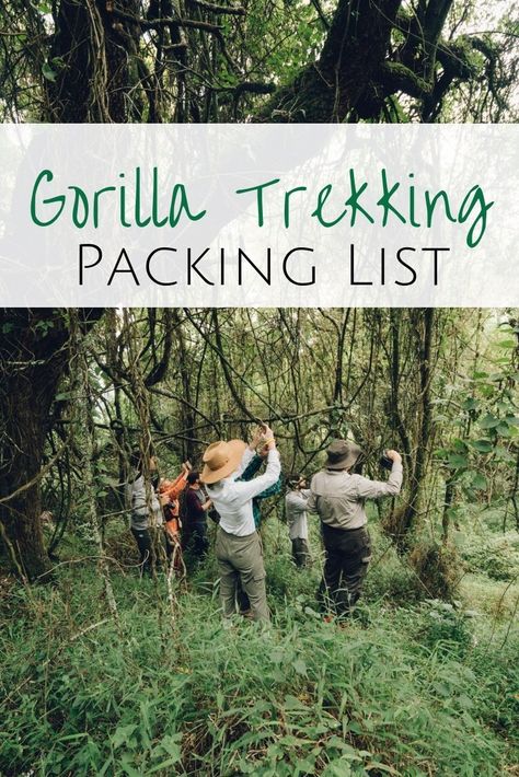 Heading to Uganda, Rwanda or Congo for a gorilla trek and don't know what you will need? My complete packing list for trekking clothes when hiking in the rainforest.  #packinglist #trekkingclothes #hikinggear #gorilla #uganda  What to pack for gorilla trekking | Hiking clothes for the jungle | Trekking clothes for Uganda | What to pack for Uganda | Gorilla Trekking clothes | Rainforest Hiking Equipment Hiking Gear List, Best Hiking Pants, Trekking Outfit Women, Trekking Outfit, Uganda Travel, Trekking Gear, Gorilla Trekking, Travel Women, Europe Holidays