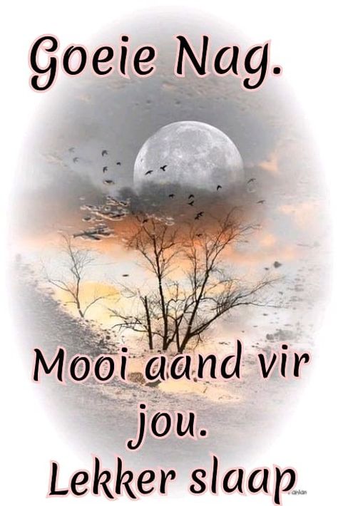 Goeie Nag Wense, Nagsê Boodskappies, Lekker Slapies, Goeie Nag, Afrikaanse Quotes, Emoji Pictures, Afrikaans Quotes, Goeie More, Christian Messages