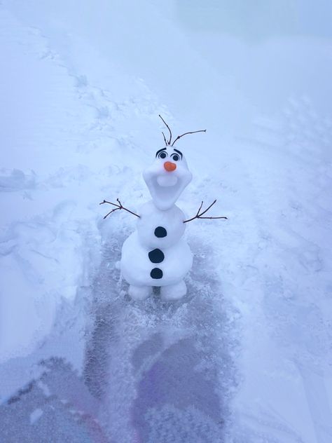 Real life Olaf snowman from Frozen Real Snowman, Snowman Real, Frozen Snowman, Olaf Snowman, Winter Fun, Olaf, Real Life, Frozen, Books